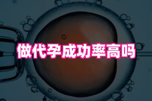 权威助孕网 1