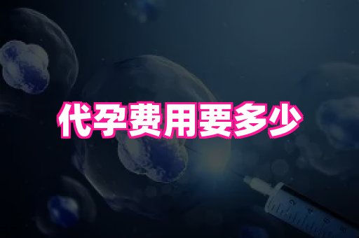 权威助孕网 2