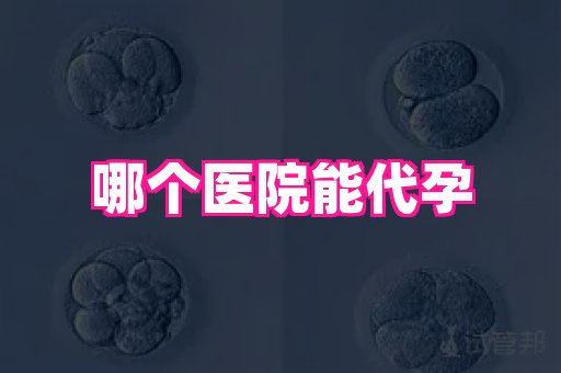 权威助孕网 3